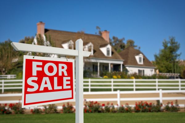 Raleigh Real Estate
